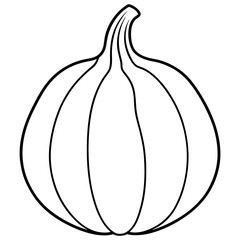 Squash line art vector illustration