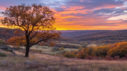 Obraz premium 2408 56.A beautiful autumn sunset with a sky filled with warm hues of orange, yellow, and pink, casting a gentle light over the landscape. The winter sky at twilight creates a dramatic backdrop, with