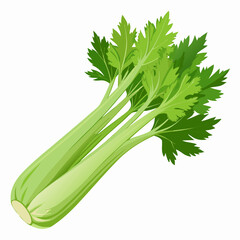 Fototapeta premium Celery 