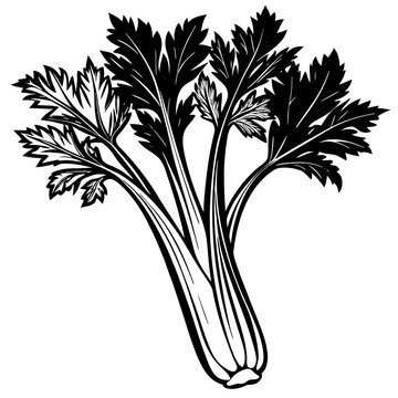 black and white celery stalk clip art preview