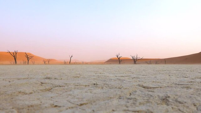 Wind and sand on dead acacia trees at Deadvlei in the Namib desert in Namibia.