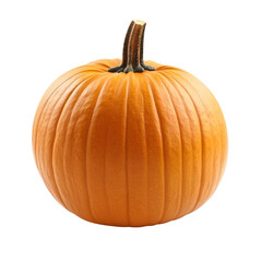 Obraz premium Single ripe orange pumpkin isolated on black.