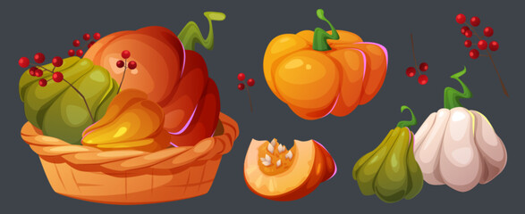 Autumn harvest in whicker basket. Cartoon vector illustration set of fall season squash vegetable and berry. Orange, green and white pumpkin - whole, pile in grocery box and cut slice with seeds.