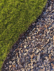 Top view of green grass and pine bark for natural background. Copy space.
