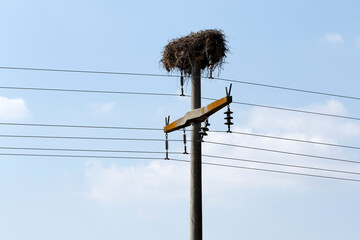 A stork nest on a concrete pole on an electricity transmission line in the countryside