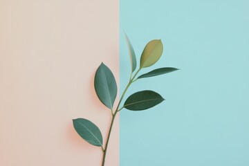 Minimalist Green Leaf Branch Against Pastel Color Background, Vegan
