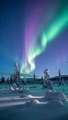 Stunning Aurora Over Snowy Landscape
