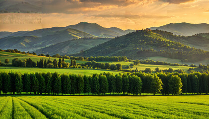 Obraz premium Paysage champêtre au coucher du soleil