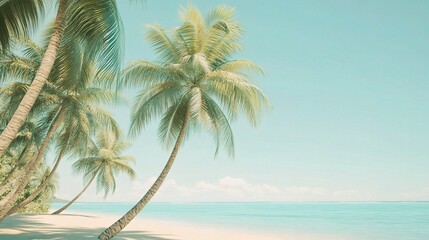 Serene Tropical Beach with Palm Trees and Clear Sky