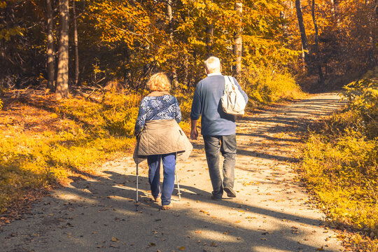 Two old people walking in the autumn forest
