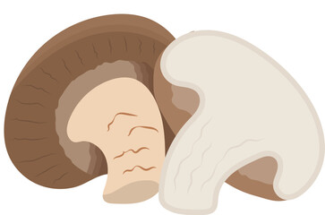 Champignon Mushroom with Sliced Illustration Isolated on White Background