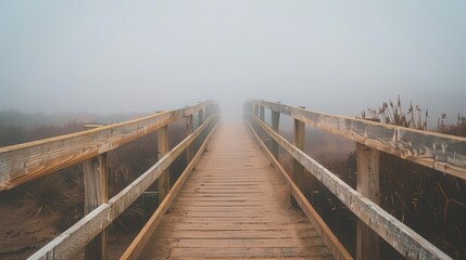 Foggy Pathway Through Nature's Beauty