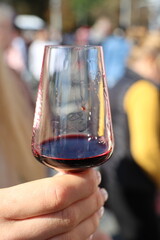 Indulge in a sophisticated Wine Tasting Experience as you admire the Glass Reflection