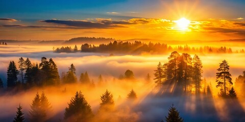 Obraz premium Serene Misty Forest at Sunrise - Tranquil Landscape Photography