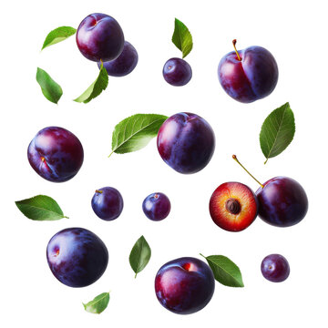Plum Fruit Set, PNG Images of Fresh Plums and Leaves