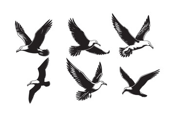 Albatross Silhouette Vector Illustration – Perfect for T-Shirts, Hoodies & Décor