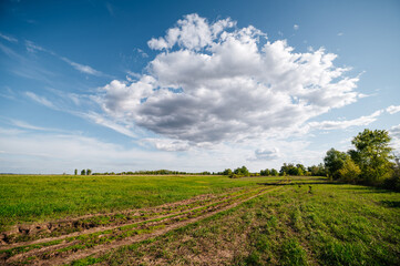 Dirt road in the field at dawn