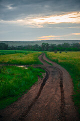 Dirt road in the field at dawn