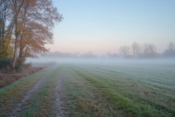 Fog Background in Nature