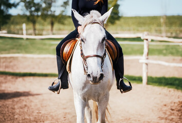 Horse riding school. Sport and recreation