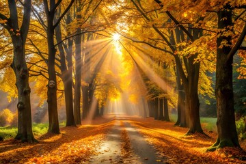 Fototapeta premium Golden Rays Illuminating a Pathway Through a Canopy of Autumn Leaves