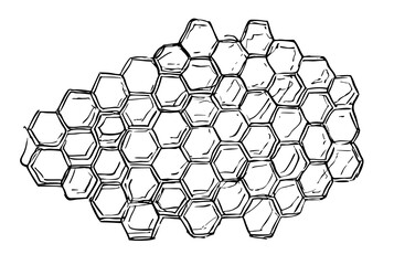 Narysowany plaster miodu szkic rysunek