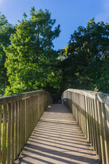 Fototapeta premium Area around Coomb Abbey in Warwickshire UK images taken during the daytime of the landscape trees plants leaf's
