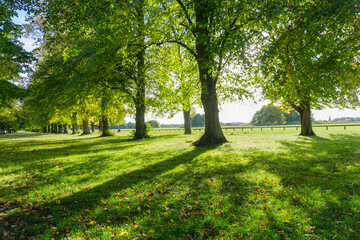 Landscape outside in the countryside during the day in the UK