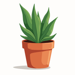 Vector potted plant illustration, indoor succulent icon