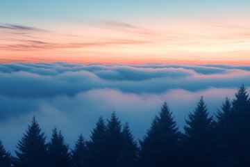Obraz premium Fog Background in Nature
