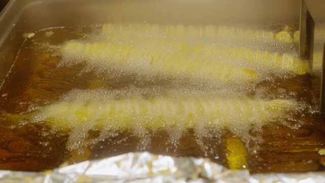 Vendor sells spiral-shaped potato fries in deep fryer. golden brown, crispy and look delicious. Street food.