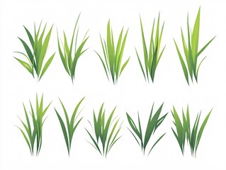 Obraz premium 2408 60.A vector illustration featuring a set of green grass blades in flat style, with soft curves and sharp edges. The blades are arranged in different heights, forming a playful and dynamic