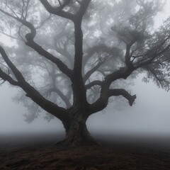 tree in fog