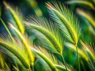 Stunning Product Photography of Zebrinus Grass Spikelets for Nature Lovers and Decor Enthusiasts