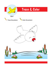 Tracing and coloring activity worksheet for kids