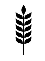 wheat or rice icon in flat design