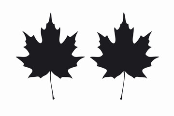 silhouettes of maple leaf
