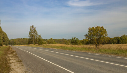 A road with a tree on the side of it