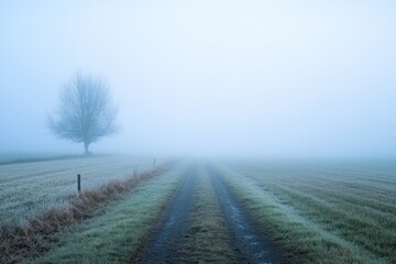 Fog Background in Nature