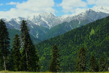 Caucasus Mountains, Krasnaya Polyana in spring