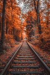 An autumn forest with trees in orange and red leaves, with the ground covered by fallen leaves. The railway tracks go straight through it.