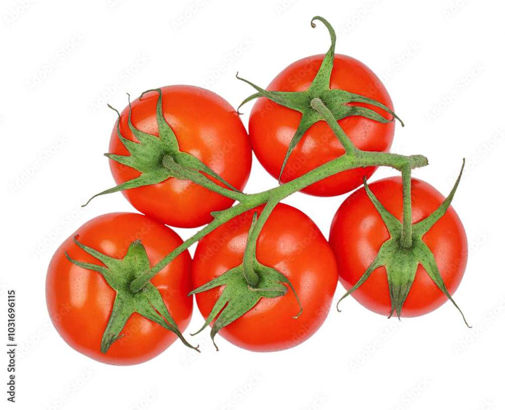 Wall mural Ripe fresh tomato branch isolated on white background. Red, fresh tomatoes. top view