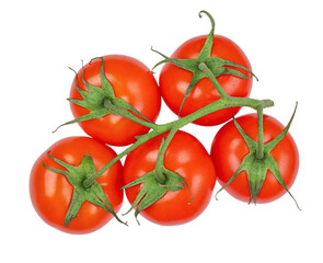 Ripe fresh tomato branch isolated on white background. Red, fresh tomatoes. top view