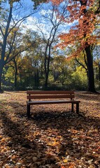 Fototapeta premium 25. An empty park bench surrounded by colorful autumn leaves