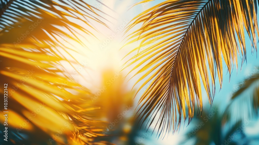 Canvas Prints A serene tropical scene with sunlit palm leaves creating a warm, inviting atmosphere.