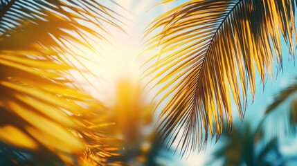 A serene tropical scene with sunlit palm leaves creating a warm, inviting atmosphere.