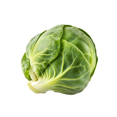 Fototapeta premium Brussels sprout, white isolate background