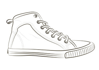 sketch of sneakers on a white background vector