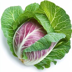 Fototapeta premium Fresh Red Cabbage with Green Leaves Isolated on White Background