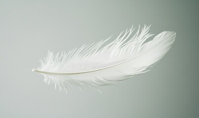 Obraz premium A serene and minimalist image of a single, delicate feather floating gently in the air, symbolizing the lightness and peace of Nirvana.